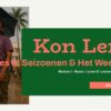 Seizoenen & Het Weer - Afbeelding 8